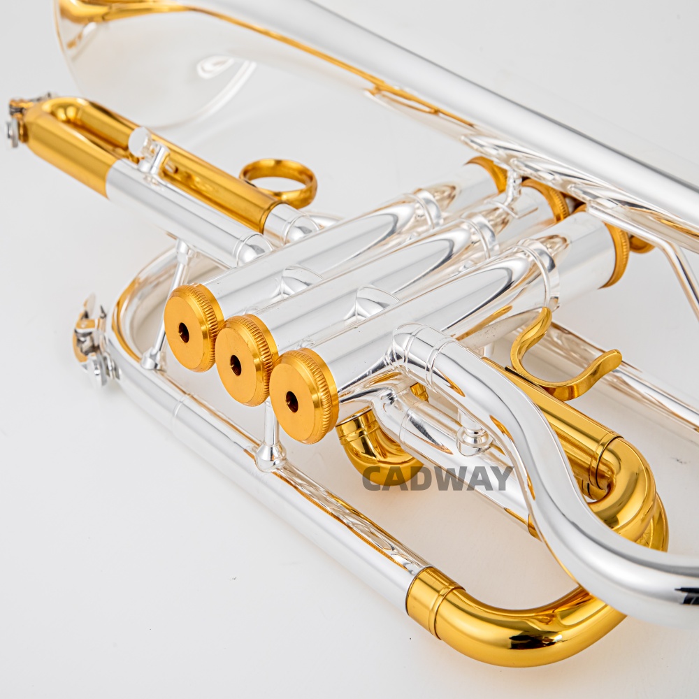 Kornet BACH wysokiej jakości,  – Musical Instrument Cornet recenzja i cena