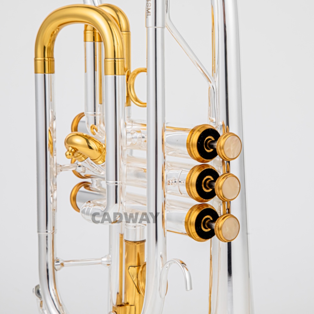 Kornet BACH wysokiej jakości,  – Musical Instrument Cornet recenzja i cena